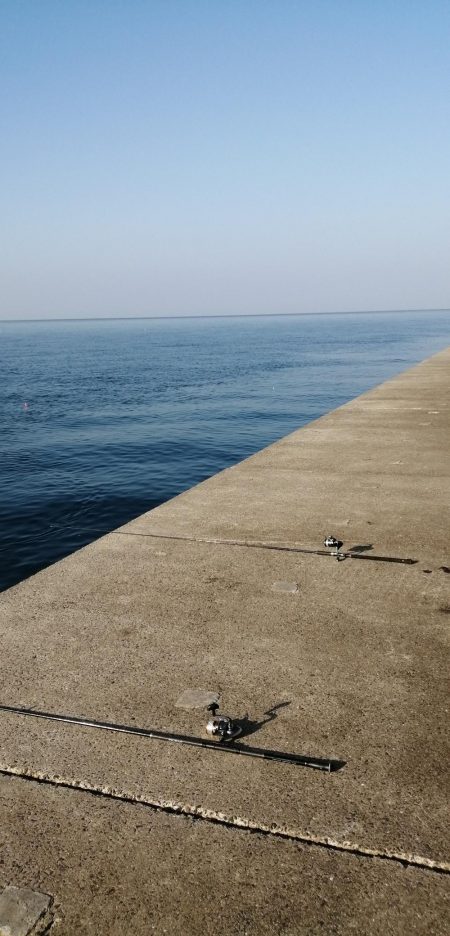 青物　アジのノマセ(泳がせ)釣りが楽しい！