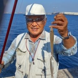 良型キスが揃いました