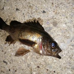 気分を変え場所を変え