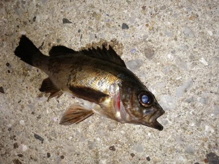 気分を変え場所を変え