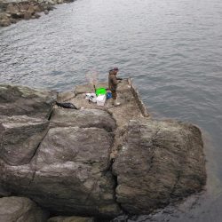 ボラに疲れました・・・