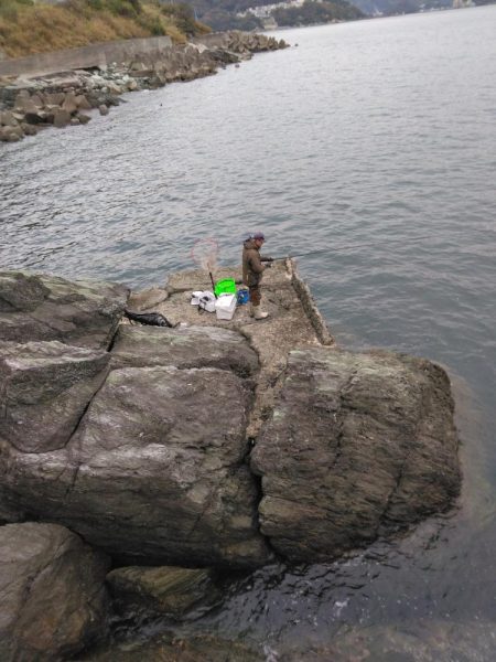 ボラに疲れました・・・