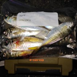 アジング＠南港