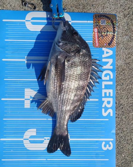 今治出張中 休み取れましたのでフカセ釣り第2戦✨