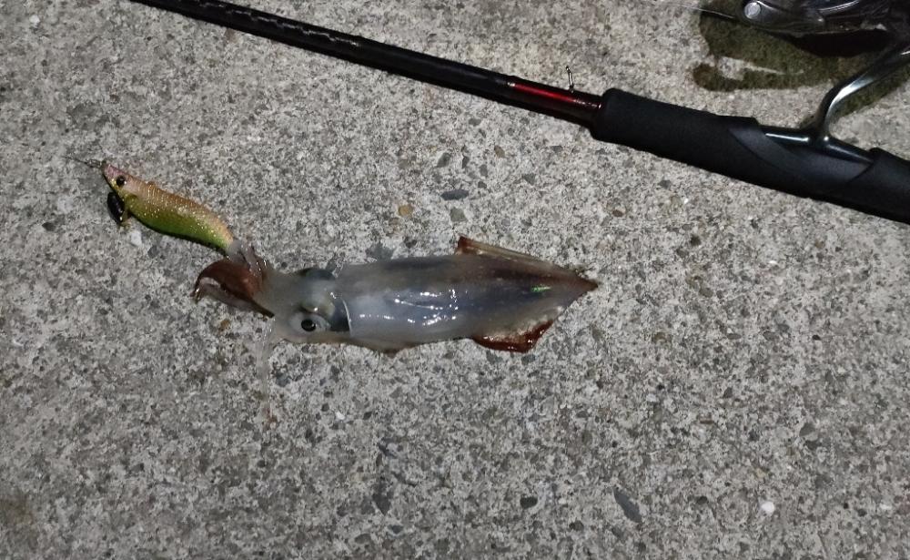 明るい月夜にフラッシュブースト炸裂