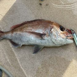 丹後半島沖ジギング船爆釣