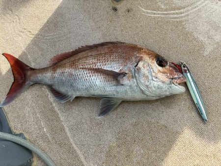 丹後半島沖ジギング船爆釣