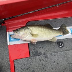 北山田連日の50オーバー