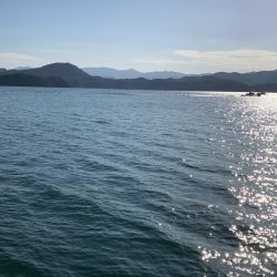 サゴシポツポツ