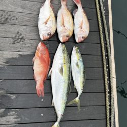 明石沖のタイラバ