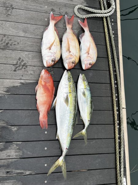 明石沖のタイラバ