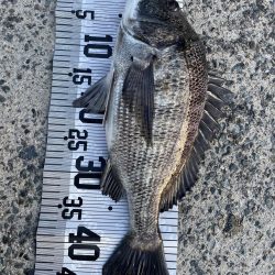 イチノ兄弟、釣果!