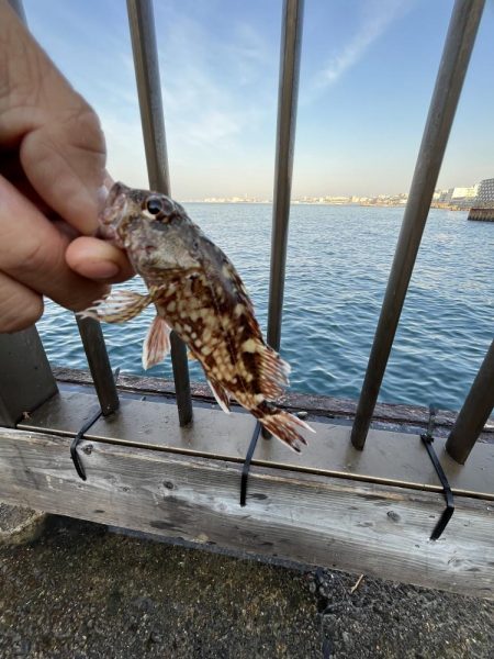 サビキっす　冬の海