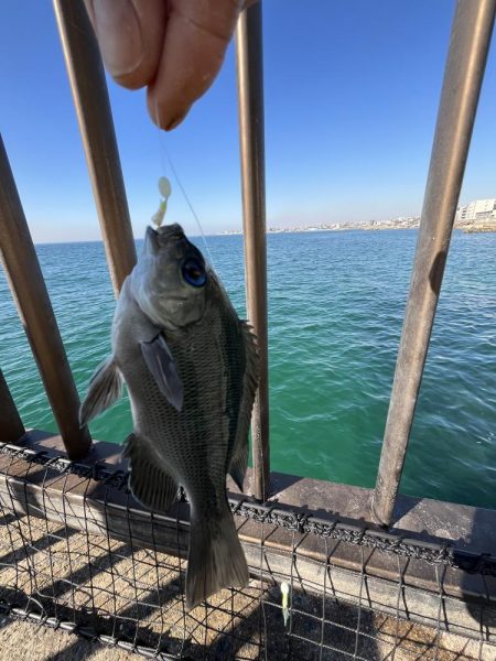 投げはじめました