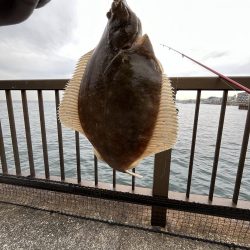 陸は紅葉海はカレイ