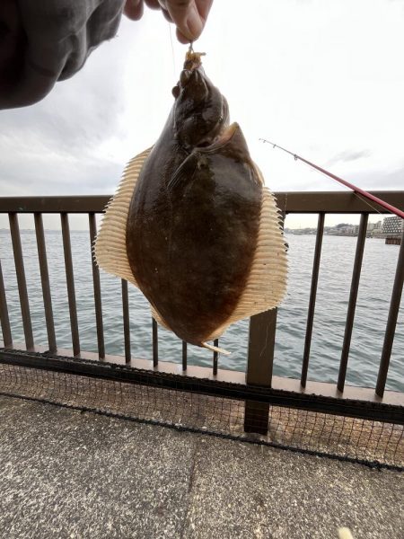 陸は紅葉海はカレイ
