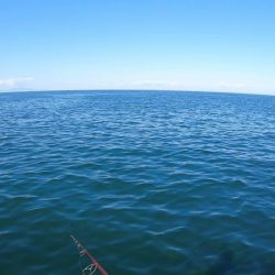 見直したムーチョルチア