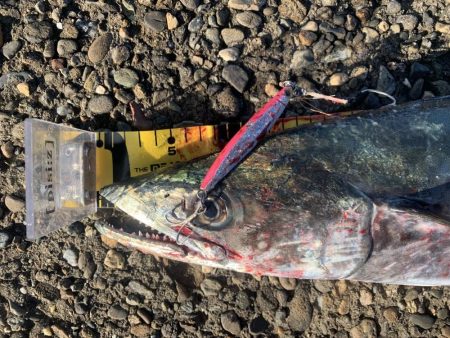 なかなか2匹目が釣れない