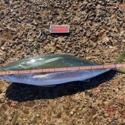 大満足^_^の釣行