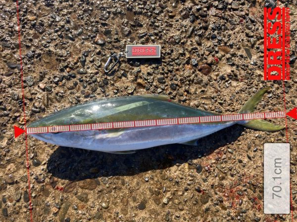 大満足^_^の釣行