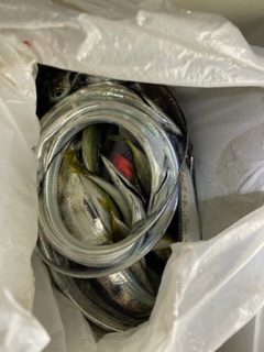 アジングとワインド