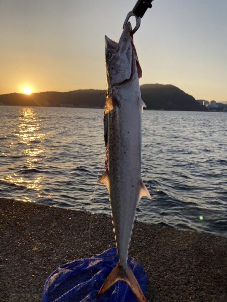祭りに参戦出来ず