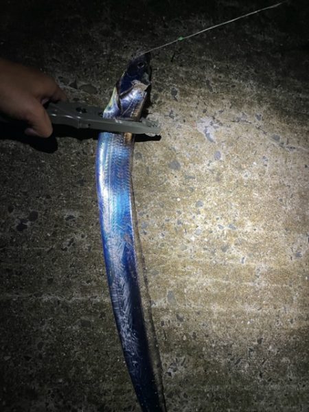 サイズアップしてます。