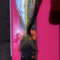 イベント釣行 3