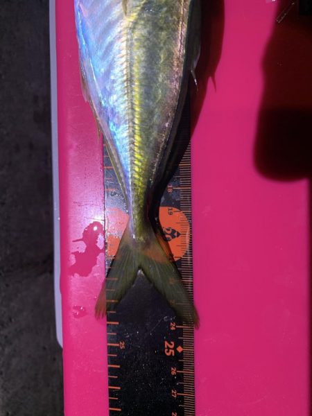 イベント釣行 3