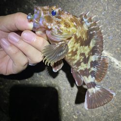 小一時間のメバリング