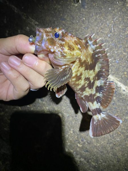 小一時間のメバリング