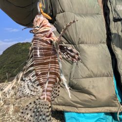 年々渋くなってきている