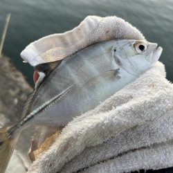 ランガンメッキ楽しい〜