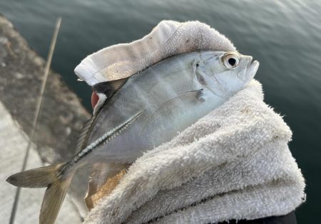 ランガンメッキ楽しい〜