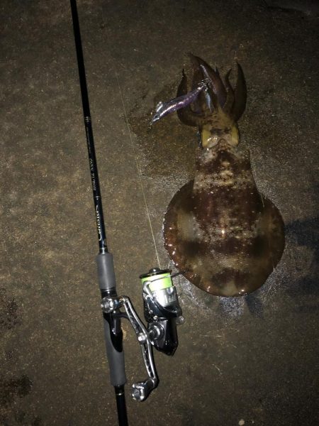 エギング　仕事帰りナイトゲーム