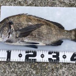 スリットから引きずり出す！