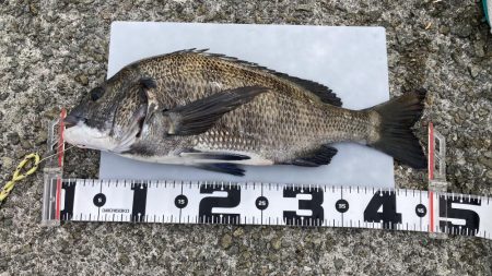 スリットから引きずり出す！