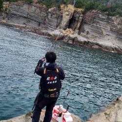 和歌山市江(吉丸渡船)でグレ釣り