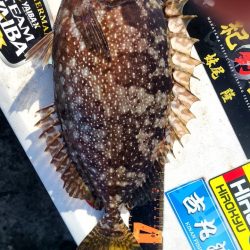 和歌山市江(吉丸渡船)で磯フカセ