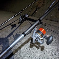 日高の漁港でカジカ釣り!!念願のカジカついに釣れる!?