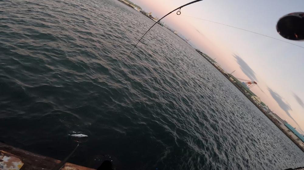 飲ませ3戦目🎣