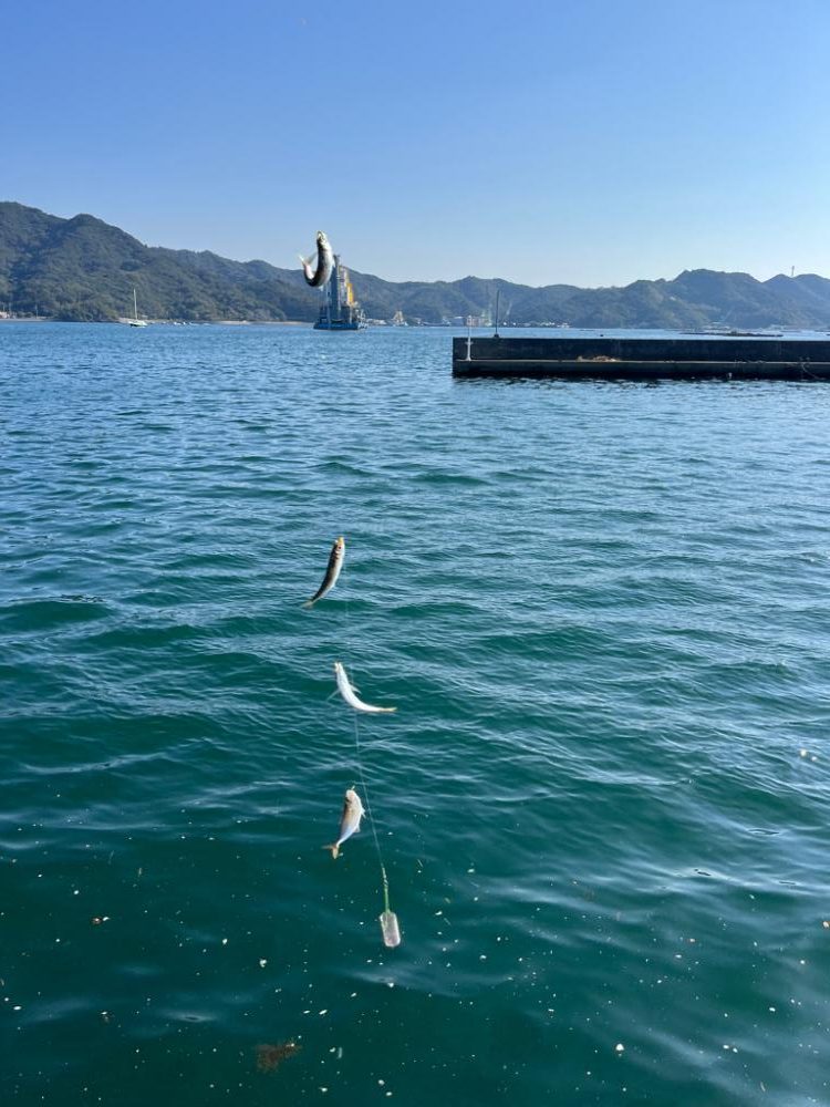 嫁さんと釣り|小物が大漁！