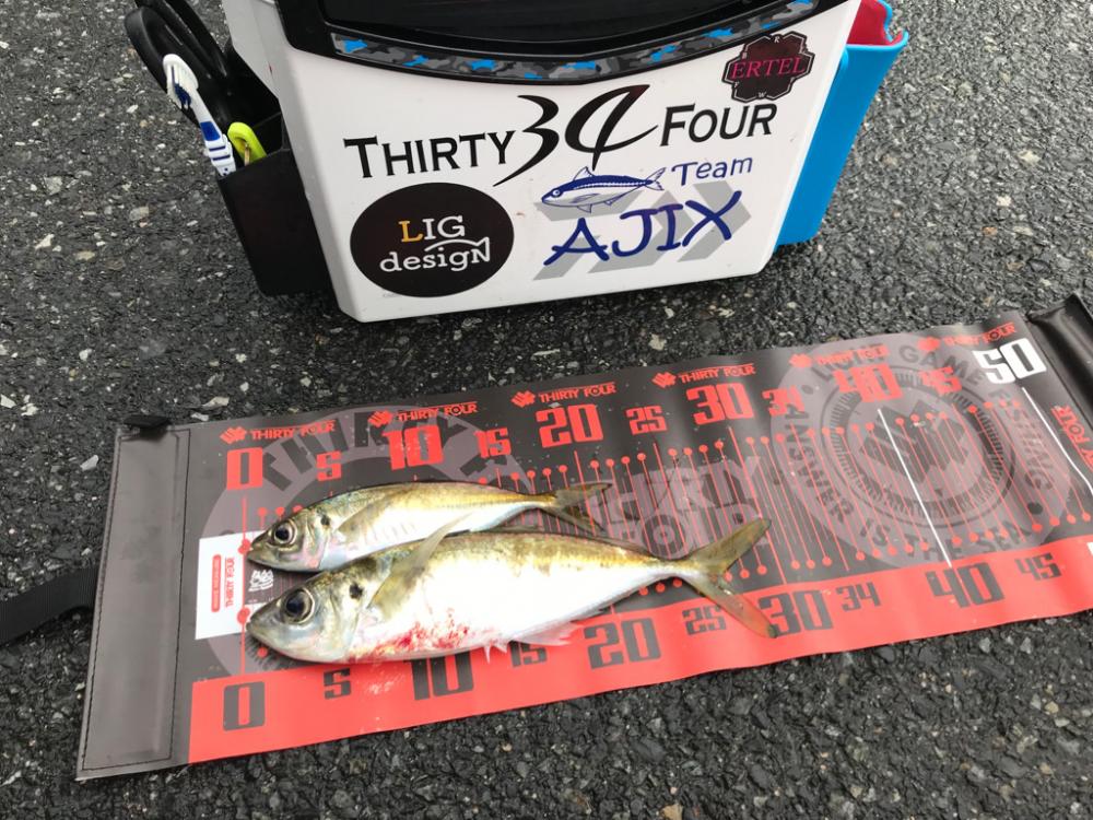 アジング〜冬到来