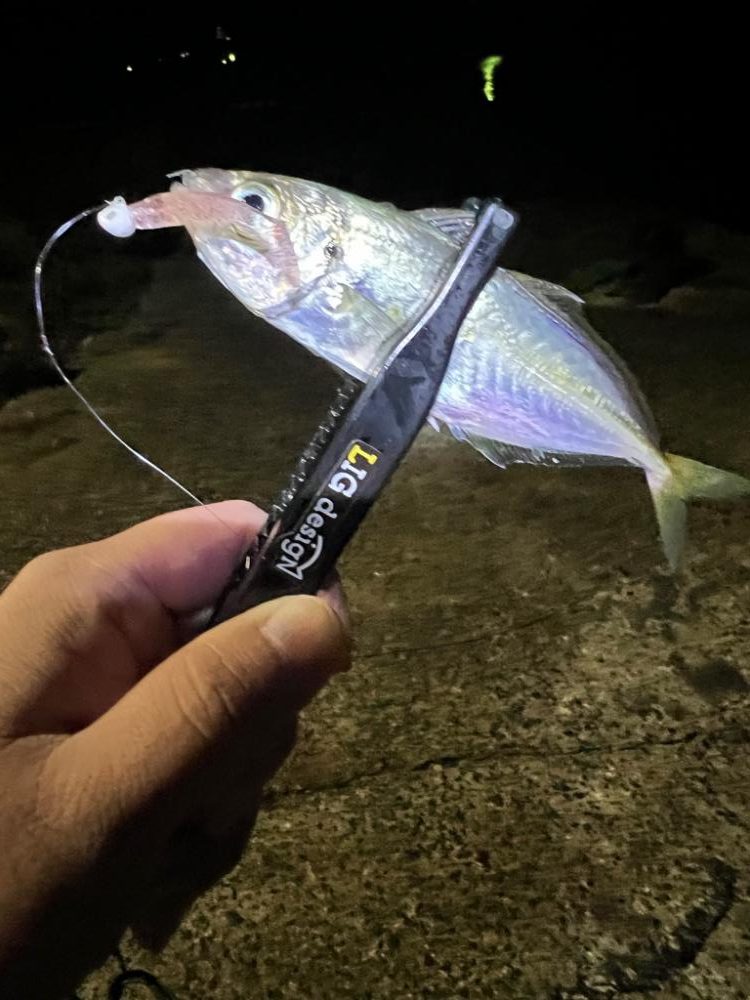 のべ竿 ライトゲーム