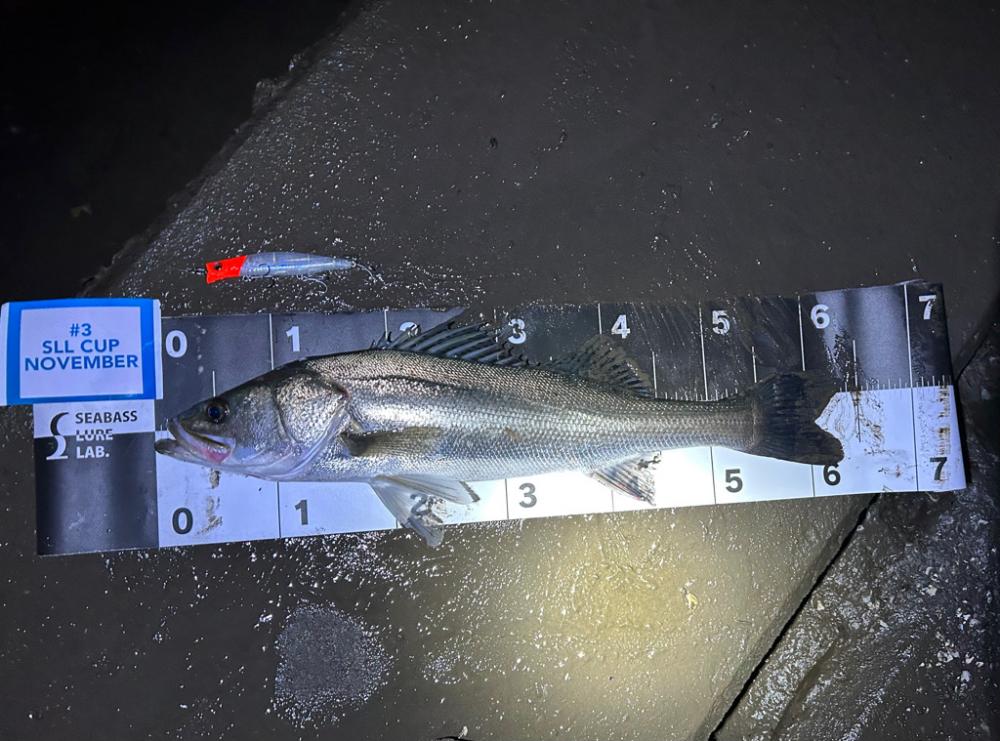 シーバスゲームin熊本