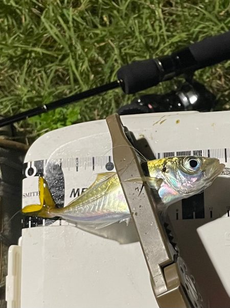 ジグ単de…アジング♪フィールド次第！