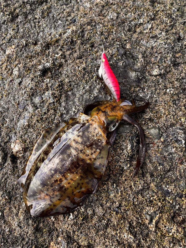 まだいけるぅ！