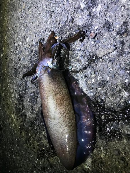 小ぶりほどスリリング