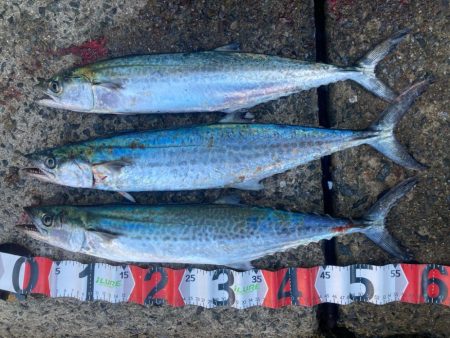 2023ライトゲーム第44戦