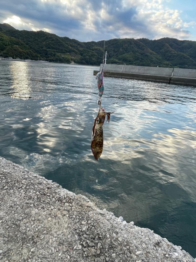 周防大島二日目